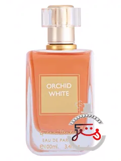 اورکید وایت جانی ونتوری | orchid white gianni venturi